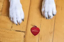 Handmade Pet Tags & ID