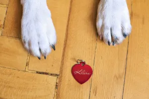Handmade Pet Tags & ID