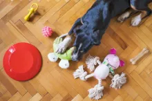 Handmade Pet Toys