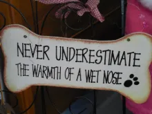 Pet Home Decor