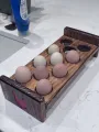 egg  caddy