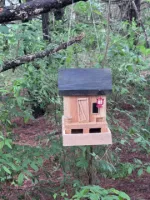 Bayou Hide-a-way Bird Feeder