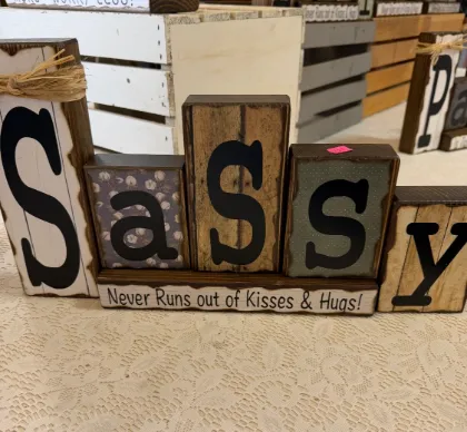 sassy  wooden  handmade  blocks