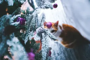 Pet Home Decor