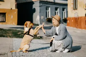 Custom  Pet  Apparel